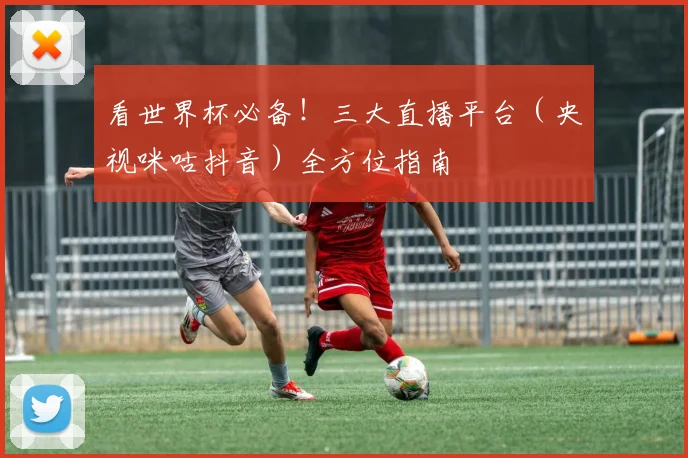 看世界杯必备!三大直播平台(央视咪咕抖音)全方位指南