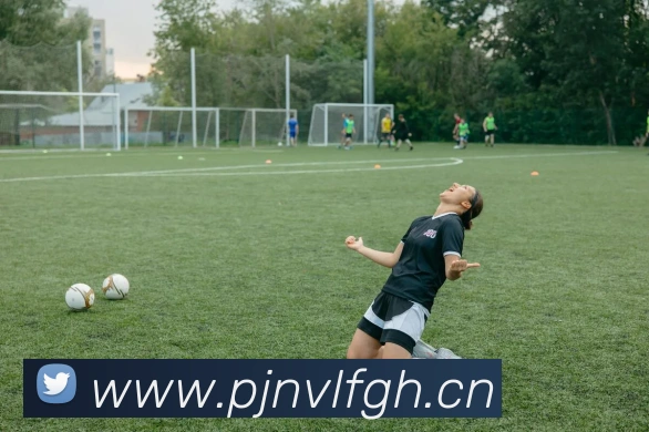 九游j9官方网站平台生态图